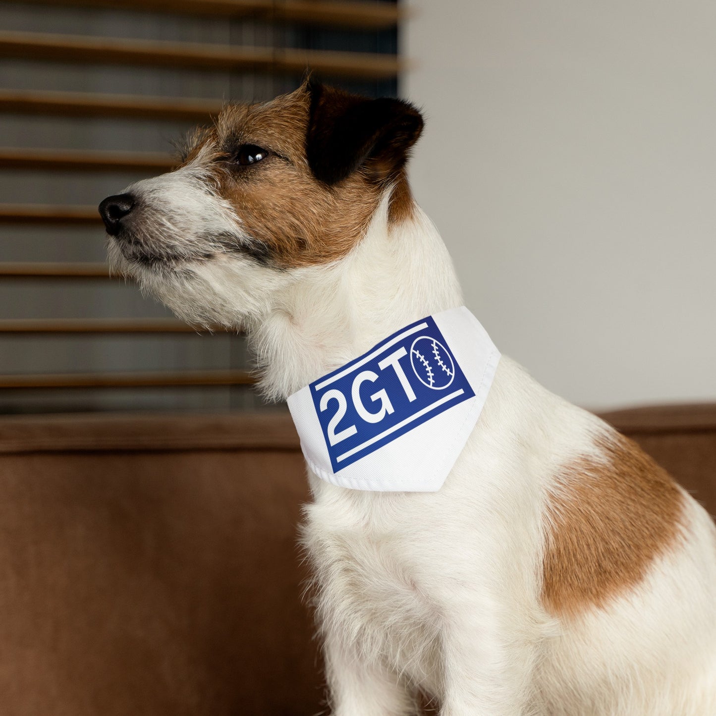 Pet Bandana Collar